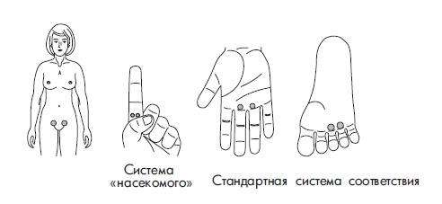 Иллюстрация к книге — Шунгит, су-джок, вода - для здоровья тех, кому за... [Autogen_eBook_id173.jpg]