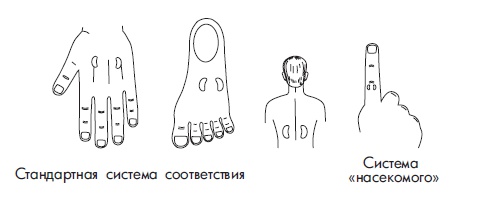 Иллюстрация к книге — Шунгит, су-джок, вода - для здоровья тех, кому за... [Autogen_eBook_id174.jpg]