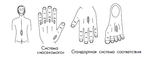 Иллюстрация к книге — Шунгит, су-джок, вода - для здоровья тех, кому за... [Autogen_eBook_id175.jpg]