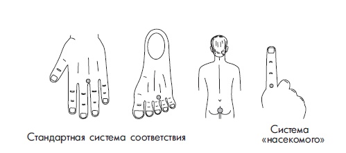 Иллюстрация к книге — Шунгит, су-джок, вода - для здоровья тех, кому за... [Autogen_eBook_id176.jpg]