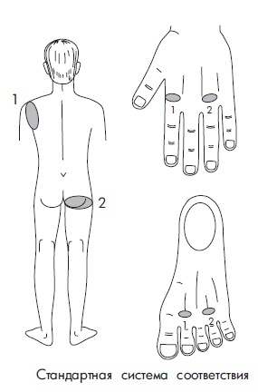 Иллюстрация к книге — Шунгит, су-джок, вода - для здоровья тех, кому за... [Autogen_eBook_id178.jpg]