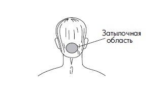 Иллюстрация к книге — Шунгит, су-джок, вода - для здоровья тех, кому за... [Autogen_eBook_id20.jpg]