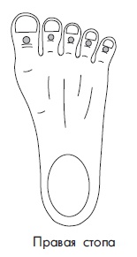 Иллюстрация к книге — Шунгит, су-джок, вода - для здоровья тех, кому за... [Autogen_eBook_id22.jpg]