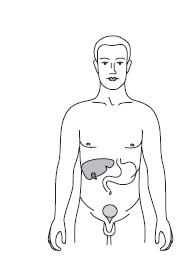 Иллюстрация к книге — Шунгит, су-джок, вода - для здоровья тех, кому за... [Autogen_eBook_id23.jpg]