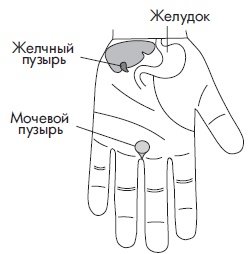 Иллюстрация к книге — Шунгит, су-джок, вода - для здоровья тех, кому за... [Autogen_eBook_id24.jpg]