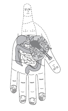 Иллюстрация к книге — Шунгит, су-джок, вода - для здоровья тех, кому за... [Autogen_eBook_id3.jpg]