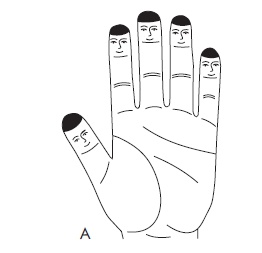 Иллюстрация к книге — Шунгит, су-джок, вода - для здоровья тех, кому за... [Autogen_eBook_id32.jpg]