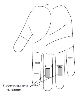 Иллюстрация к книге — Шунгит, су-джок, вода - для здоровья тех, кому за... [Autogen_eBook_id35.jpg]