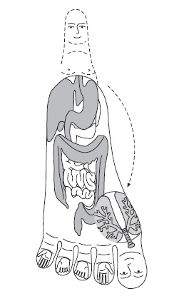 Иллюстрация к книге — Шунгит, су-джок, вода - для здоровья тех, кому за... [Autogen_eBook_id4.jpg]