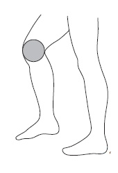 Иллюстрация к книге — Шунгит, су-джок, вода - для здоровья тех, кому за... [Autogen_eBook_id58.jpg]