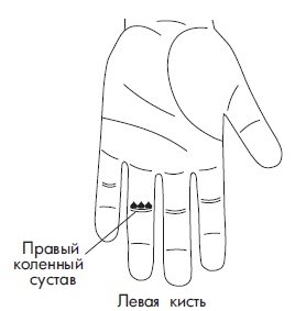 Иллюстрация к книге — Шунгит, су-джок, вода - для здоровья тех, кому за... [Autogen_eBook_id59.jpg]
