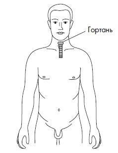 Иллюстрация к книге — Шунгит, су-джок, вода - для здоровья тех, кому за... [Autogen_eBook_id66.jpg]