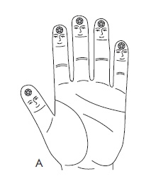 Иллюстрация к книге — Шунгит, су-джок, вода - для здоровья тех, кому за... [Autogen_eBook_id68.jpg]