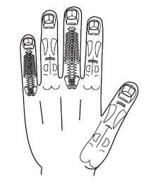 Иллюстрация к книге — Шунгит, су-джок, вода - для здоровья тех, кому за... [Autogen_eBook_id7.jpg]