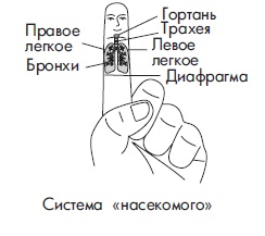 Иллюстрация к книге — Шунгит, су-джок, вода - для здоровья тех, кому за... [Autogen_eBook_id73.jpg]