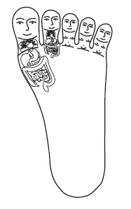 Иллюстрация к книге — Шунгит, су-джок, вода - для здоровья тех, кому за... [Autogen_eBook_id8.jpg]