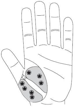 Иллюстрация к книге — Шунгит, су-джок, вода - для здоровья тех, кому за... [Autogen_eBook_id84.jpg]