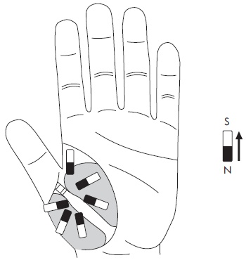 Иллюстрация к книге — Шунгит, су-джок, вода - для здоровья тех, кому за... [Autogen_eBook_id85.jpg]