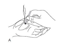 Иллюстрация к книге — Шунгит, су-джок, вода - для здоровья тех, кому за... [Autogen_eBook_id86.jpg]