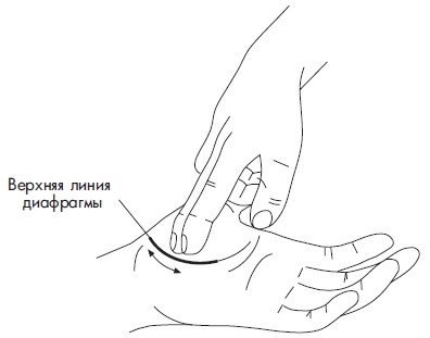 Иллюстрация к книге — Шунгит, су-джок, вода - для здоровья тех, кому за... [Autogen_eBook_id88.jpg]