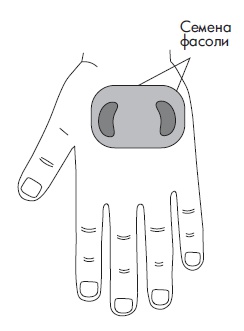 Иллюстрация к книге — Шунгит, су-джок, вода - для здоровья тех, кому за... [Autogen_eBook_id93.jpg]
