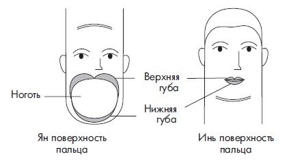 Иллюстрация к книге — Шунгит, су-джок, вода - для здоровья тех, кому за... [Autogen_eBook_id95.jpg]