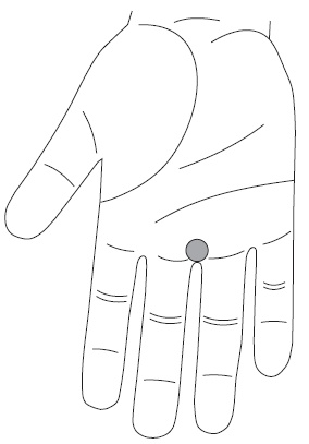 Иллюстрация к книге — Шунгит, су-джок, вода - для здоровья тех, кому за... [Autogen_eBook_id97.jpg]