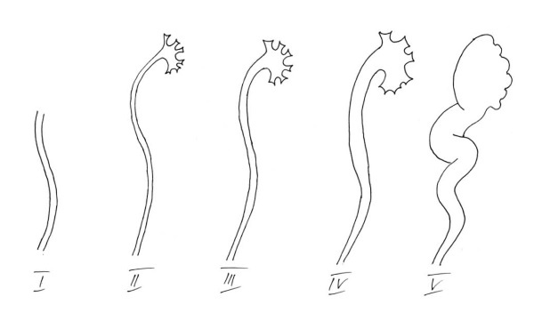 Иллюстрация к книге — Йогатерапия. Практическое руководство [i_008.jpg]