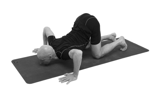 Иллюстрация к книге — Йогатерапия. Практическое руководство [i_020.jpg]