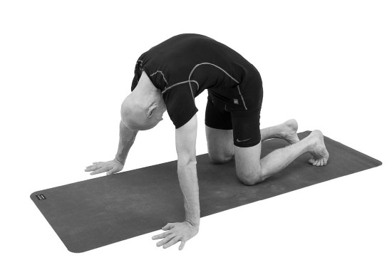 Иллюстрация к книге — Йогатерапия. Практическое руководство [i_021.jpg]