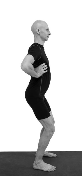 Иллюстрация к книге — Йогатерапия. Практическое руководство [i_031.jpg]