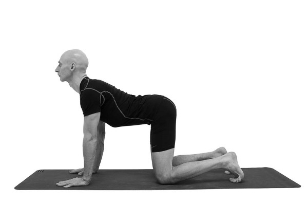 Иллюстрация к книге — Йогатерапия. Практическое руководство [i_032.jpg]