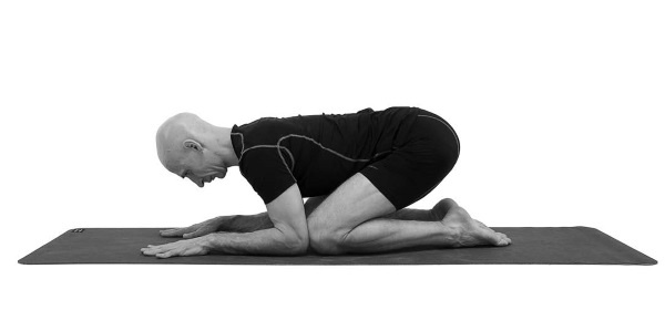 Иллюстрация к книге — Йогатерапия. Практическое руководство [i_052.jpg]