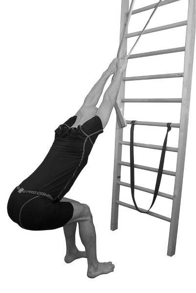 Иллюстрация к книге — Йогатерапия. Практическое руководство [i_063.jpg]