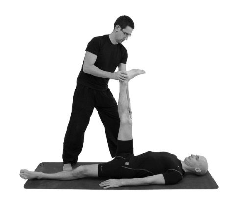 Иллюстрация к книге — Йогатерапия. Практическое руководство [i_066.jpg]