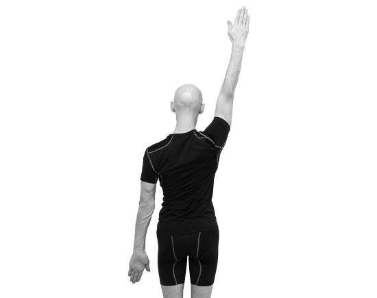 Иллюстрация к книге — Йогатерапия. Практическое руководство [i_131.jpg]