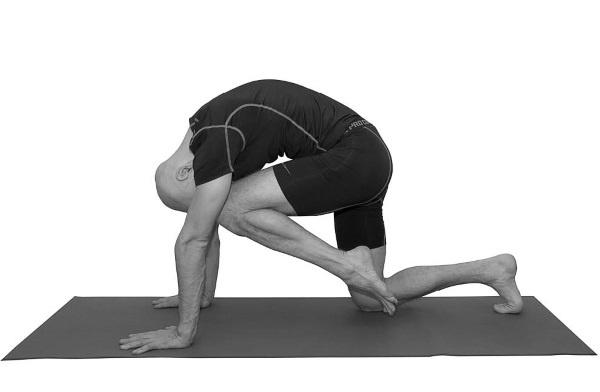 Иллюстрация к книге — Йогатерапия. Практическое руководство [i_147.jpg]