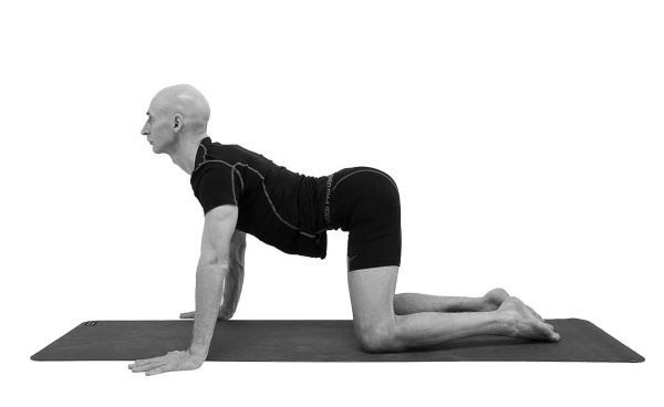 Иллюстрация к книге — Йогатерапия. Практическое руководство [i_155.jpg]