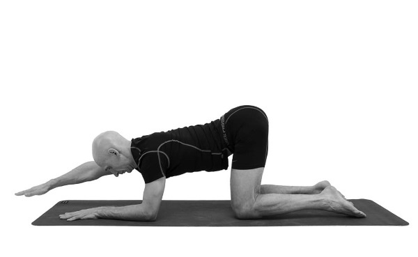 Иллюстрация к книге — Йогатерапия. Практическое руководство [i_157.jpg]