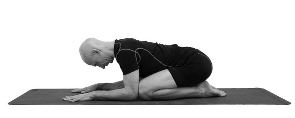 Иллюстрация к книге — Йогатерапия. Практическое руководство [i_164.jpg]