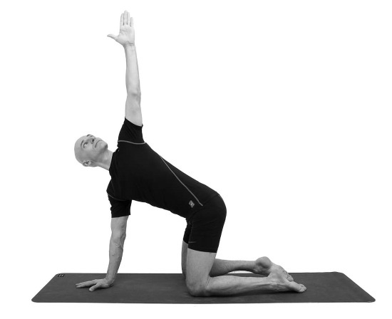 Иллюстрация к книге — Йогатерапия. Практическое руководство [i_165.jpg]