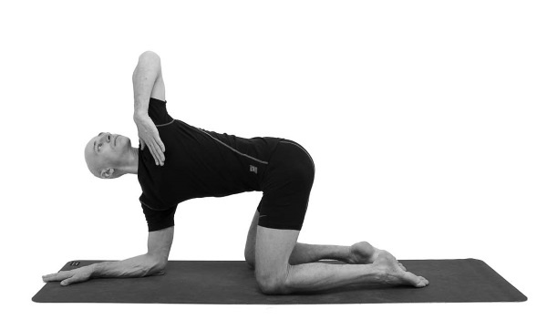 Иллюстрация к книге — Йогатерапия. Практическое руководство [i_166.jpg]