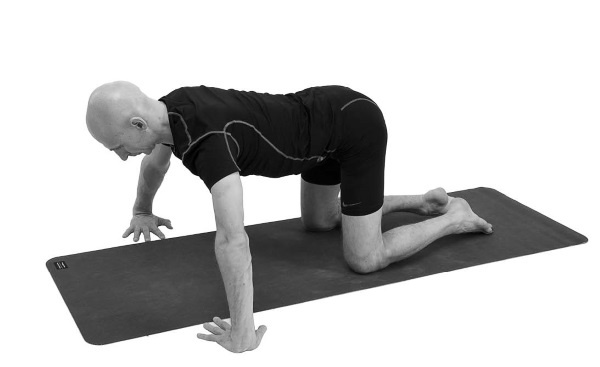 Иллюстрация к книге — Йогатерапия. Практическое руководство [i_167.jpg]