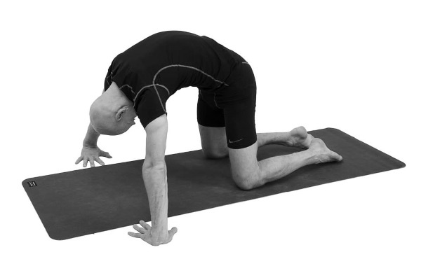 Иллюстрация к книге — Йогатерапия. Практическое руководство [i_171.jpg]