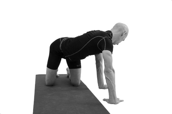 Иллюстрация к книге — Йогатерапия. Практическое руководство [i_182.jpg]