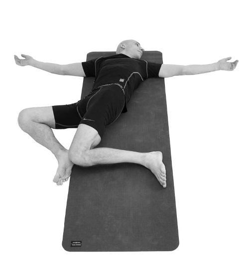 Иллюстрация к книге — Йогатерапия. Практическое руководство [i_187.jpg]