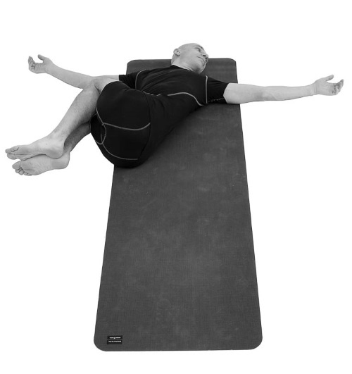 Иллюстрация к книге — Йогатерапия. Практическое руководство [i_191.jpg]