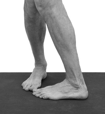 Иллюстрация к книге — Йогатерапия. Практическое руководство [i_197.jpg]