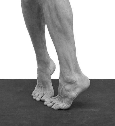 Иллюстрация к книге — Йогатерапия. Практическое руководство [i_198.jpg]