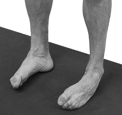 Иллюстрация к книге — Йогатерапия. Практическое руководство [i_203.jpg]